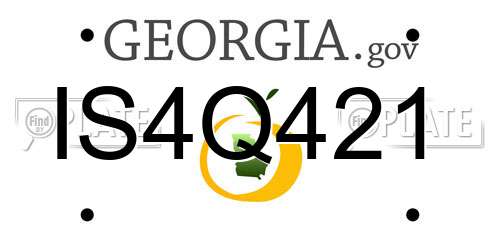 IS4Q421 Georgia License Plate
