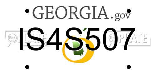 IS4S507 Georgia License Plate