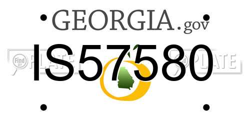 IS57580 Georgia License Plate