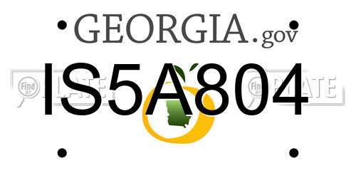 IS5A804 Georgia License Plate