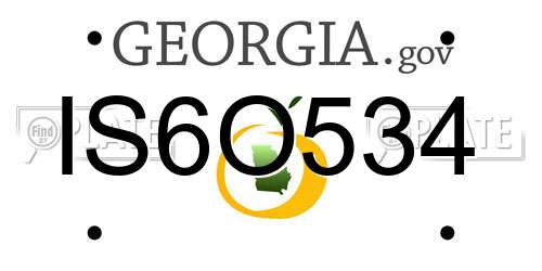 IS6O534 Georgia License Plate