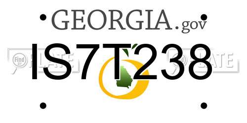 IS7T238 Georgia License Plate