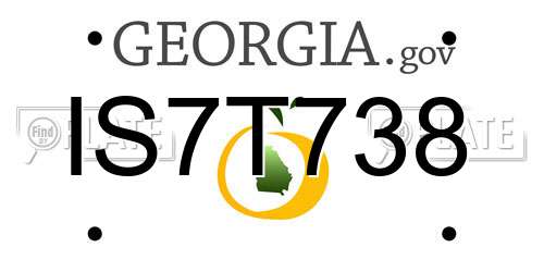 IS7T738 Georgia License Plate