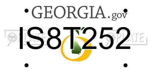 IS8T252 Georgia License Plate