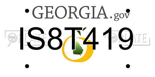 IS8T419 Georgia License Plate
