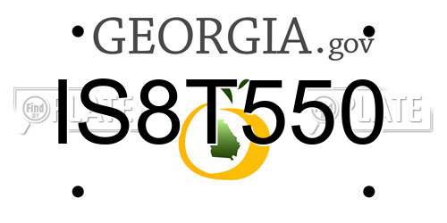 IS8T550 Georgia License Plate