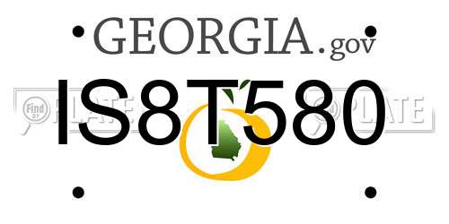 IS8T580 Georgia License Plate
