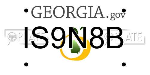 IS9N8B Georgia License Plate