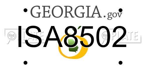 ISA8502 Georgia License Plate