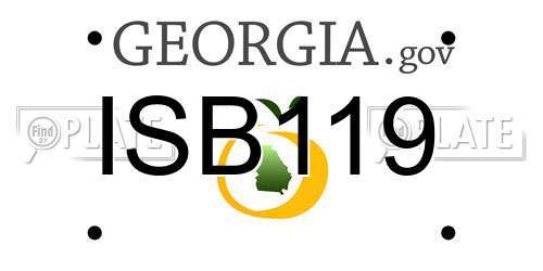 ISB119 Georgia License Plate