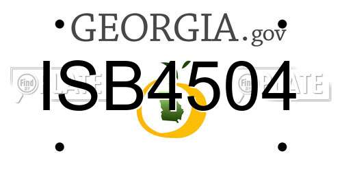 ISB4504 Georgia License Plate
