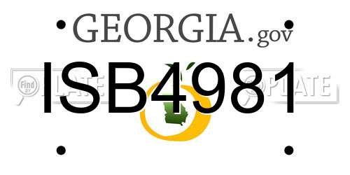 ISB4981 Georgia License Plate