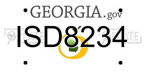 ISD8234 Georgia License Plate
