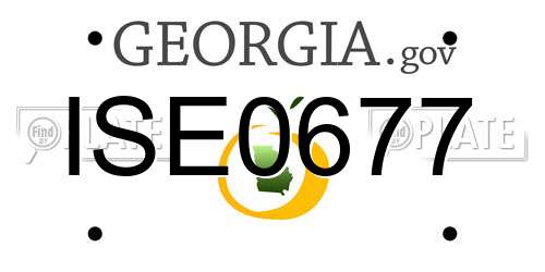 ISE0677 Georgia License Plate