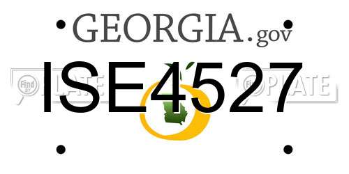 ISE4527 Georgia License Plate