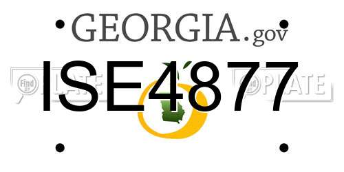 ISE4877 Georgia License Plate