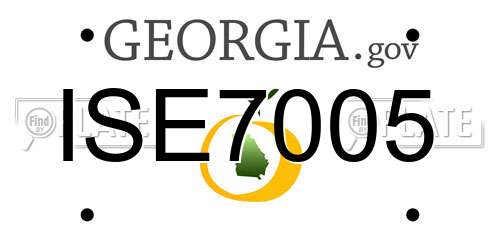 ISE7005 Georgia License Plate