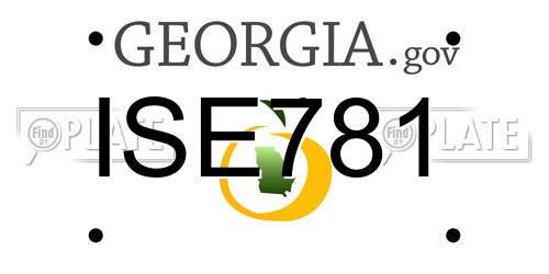 ISE781 Georgia License Plate