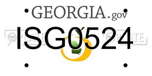 ISG0524 Georgia License Plate