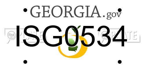 ISG0534 Georgia License Plate