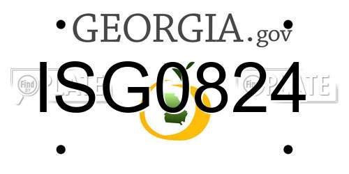 ISG0824 Georgia License Plate