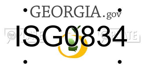 ISG0834 Georgia License Plate