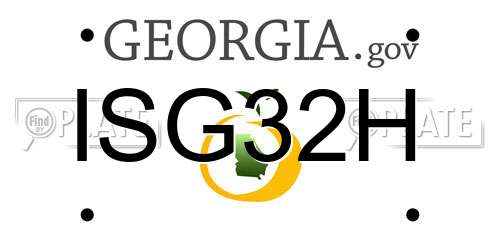 ISG32H Georgia License Plate