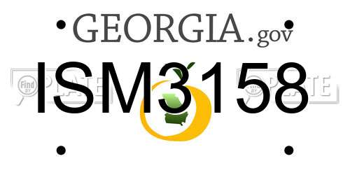 ISM3158 Georgia License Plate