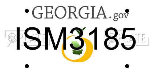 ISM3185 Georgia License Plate