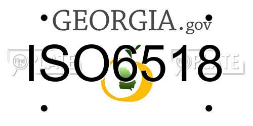 ISO6518 Georgia License Plate