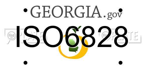 ISO6828 Georgia License Plate