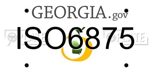 ISO6875 Georgia License Plate