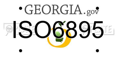 ISO6895 Georgia License Plate