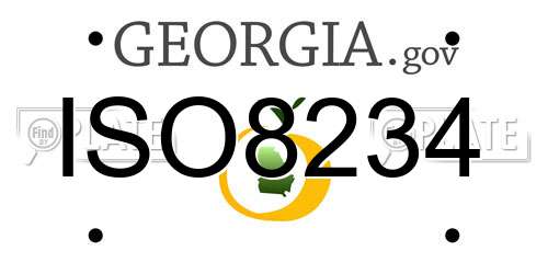 ISO8234 Georgia License Plate