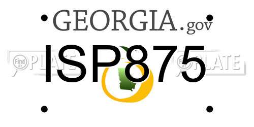 ISP875 Georgia License Plate