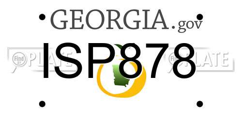 ISP878 Georgia License Plate
