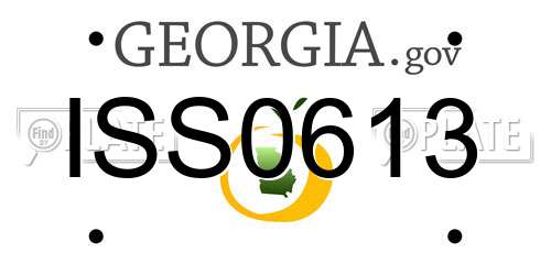 ISS0613 Georgia License Plate