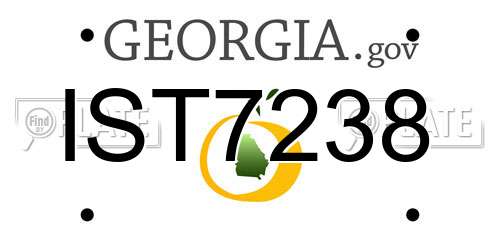 IST7238 Georgia License Plate