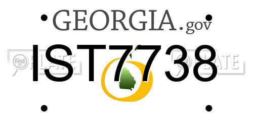 IST7738 Georgia License Plate