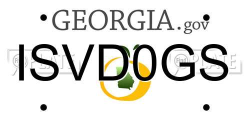 ISVD0GS Georgia License Plate