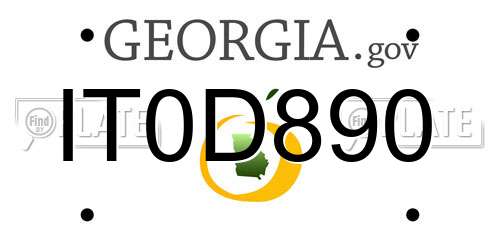 IT0D890 Georgia License Plate