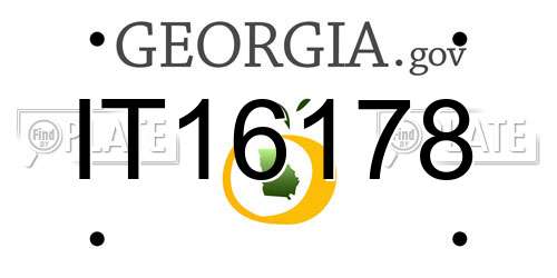 IT16178 Georgia License Plate