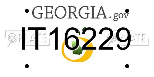 IT16229 Georgia License Plate