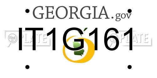 IT1G161 Georgia License Plate