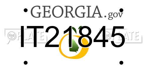 IT21845 Georgia License Plate