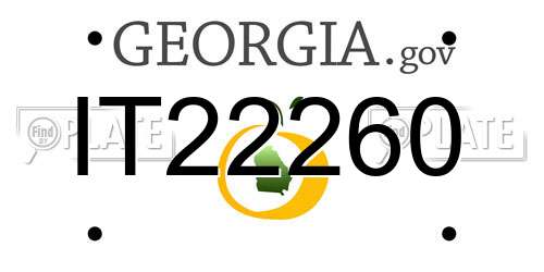 IT22260 Georgia License Plate