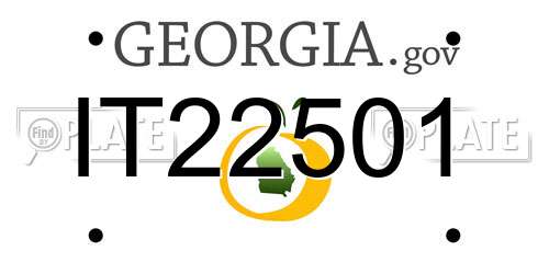 IT22501 Georgia License Plate
