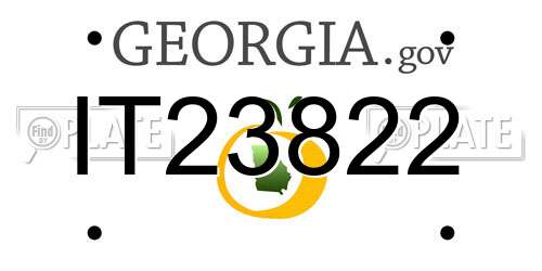 IT23822 Georgia License Plate