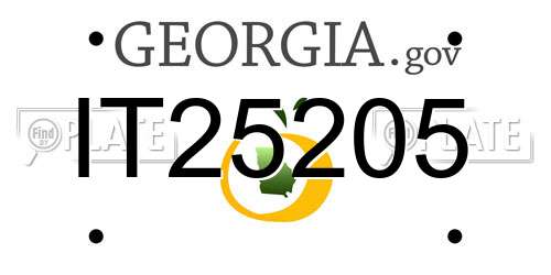 IT25205 Georgia License Plate