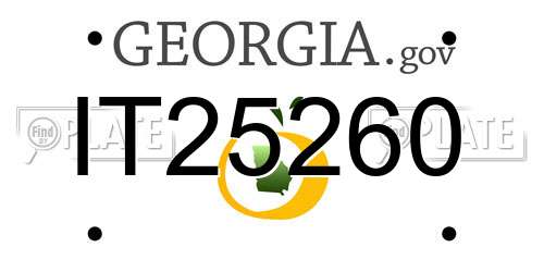 IT25260 Georgia License Plate